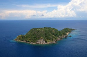 Apo Island dive trips