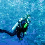 Philippine Fun Divers - Divers Alona Beach Panglao Bohol 11