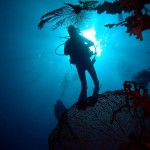 Philippine Fun Divers - Divers Alona Beach Panglao Bohol diver and sun
