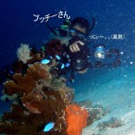 Philippine Fun Divers - Divers Alona Beach Panglao Bohol 7